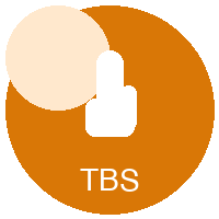 TinyBERT Sentiment - Fastest Sentiment Classifier (15MB) on SageMaker