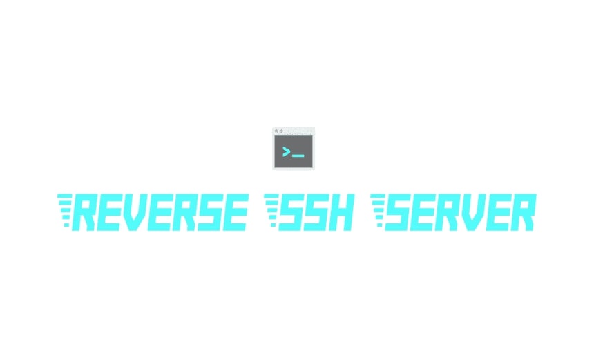 Reverse SSH Server