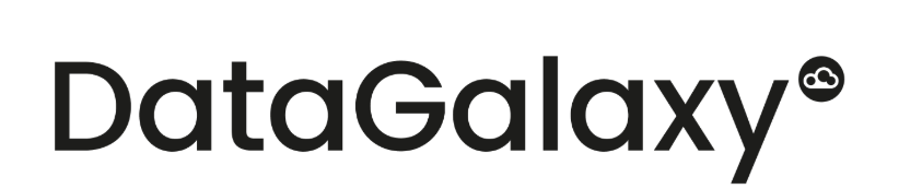 DataGalaxy logo