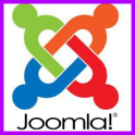 Joomla Server + MySQL + Apache Server + phpMyadmin on Debian 11 Server - logo