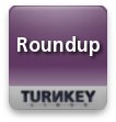 Roundup - Preconfigured Issue Tracking Server