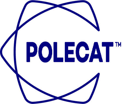 PolecatX SaaS - External risk intel