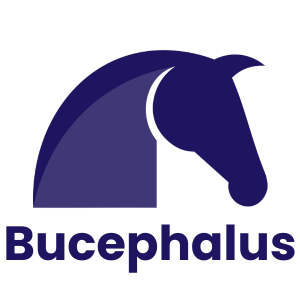 Bucephalus AI Supply Planning - Foundational Model, Digital Twin, GenAI