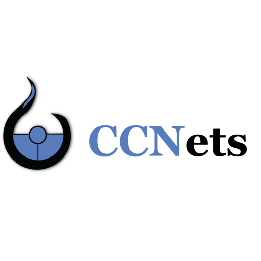 CCNets Causal GPT-RL Training Algorithm