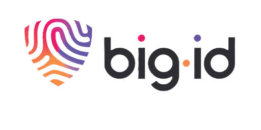 BigID Next