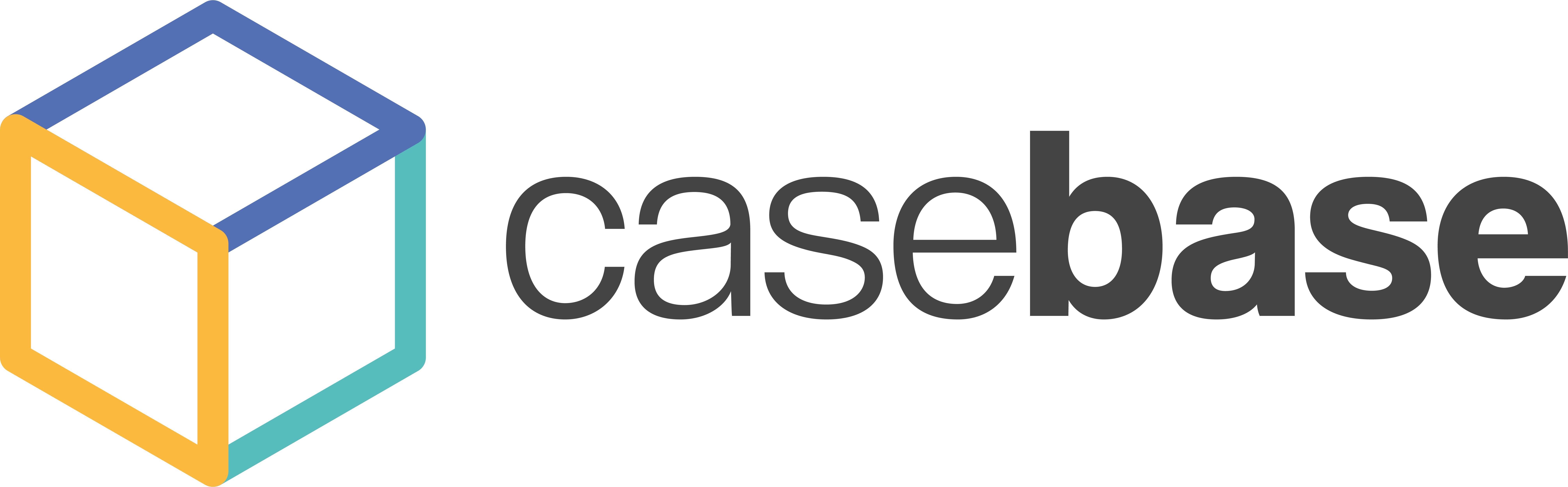 Casebase - AI Portfolio Management Platform logo