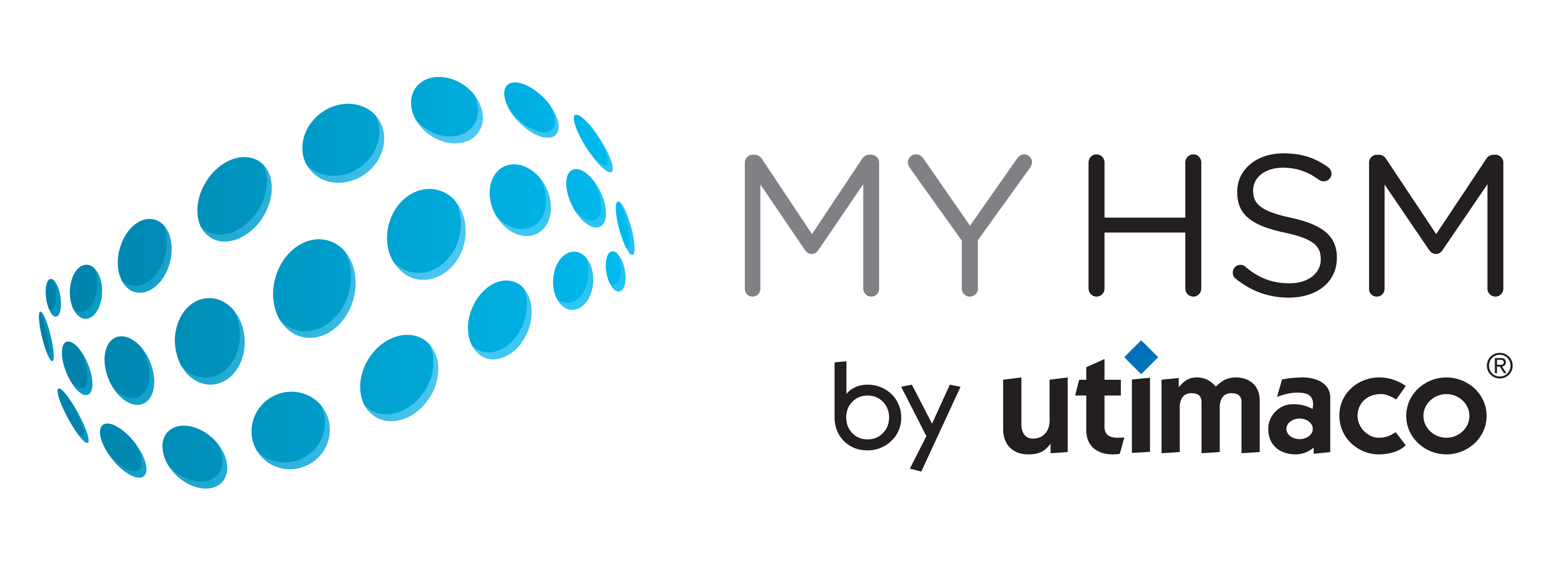 MYHSM Cloud Interface