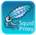 Squid Proxy Cache Server with Web Console and Directory Authentication logo