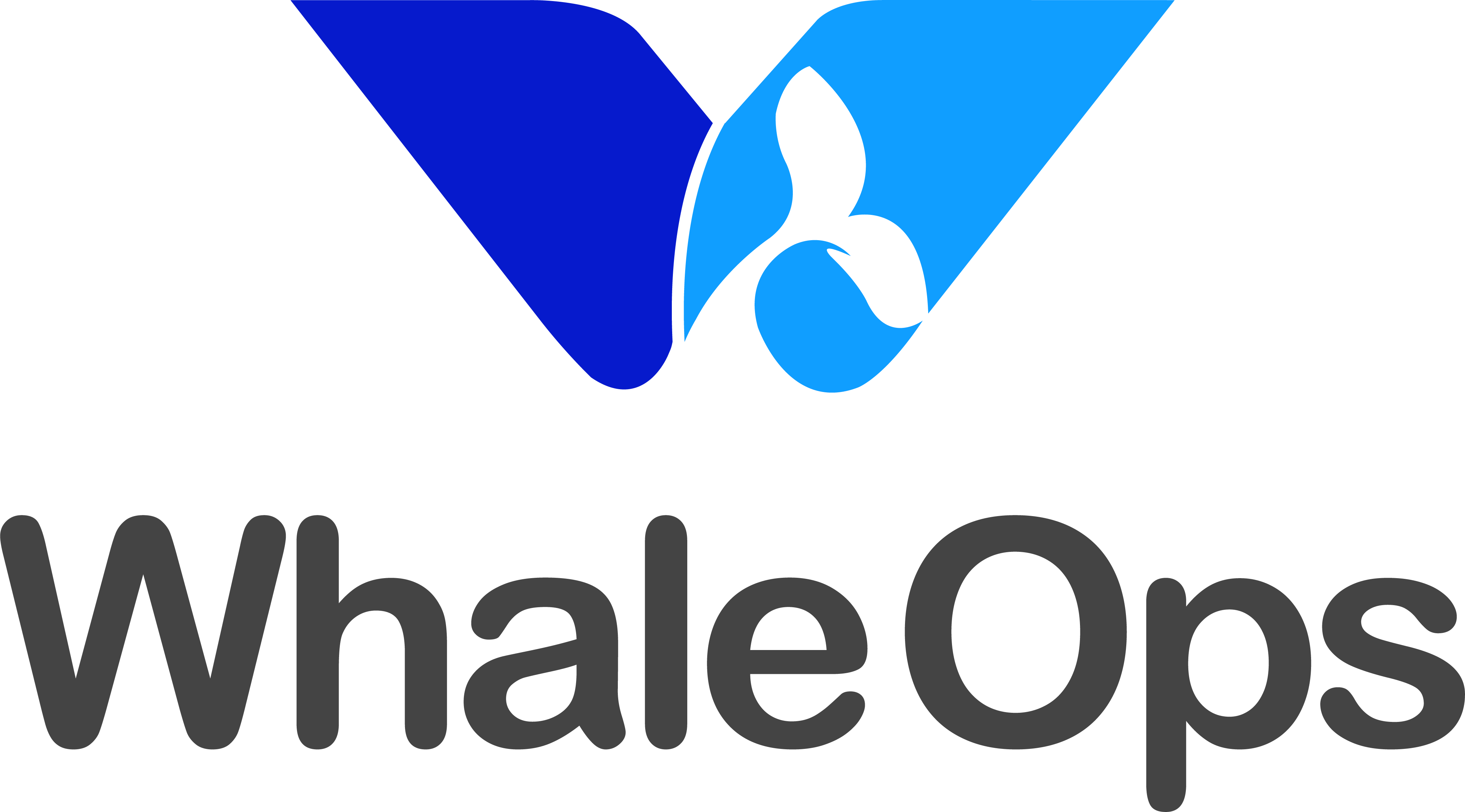 WhaleStudio: A Unified Data Integration & Orchestration Platform(SaaS)