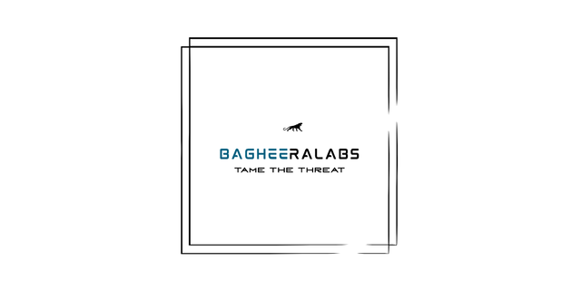 Penetration Testing focused on SaaS products