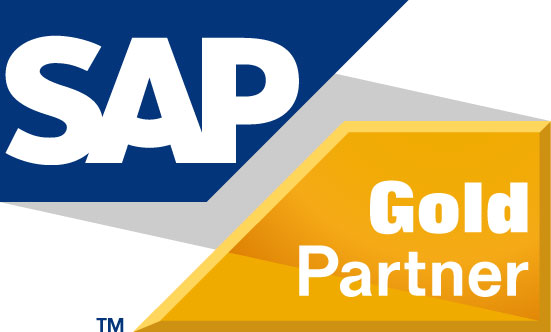 SAP BusinessObjects 10 Concurrent (CSBL) and 10 Named Users - STANDARD