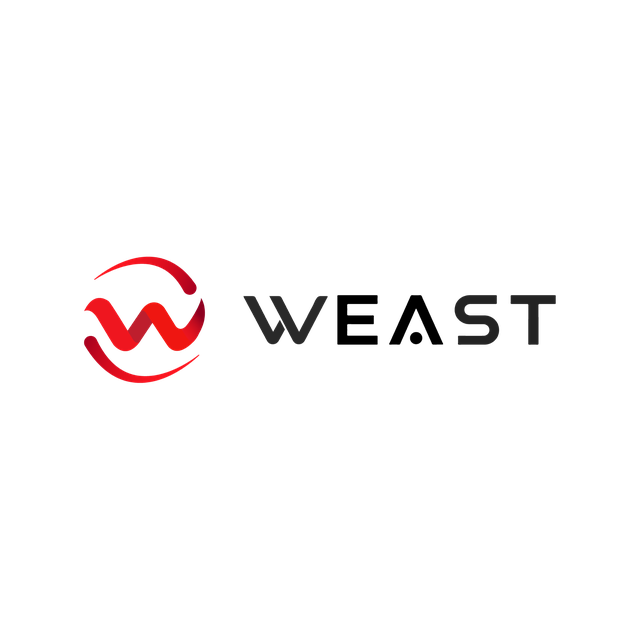 WEAST Credit Scoring