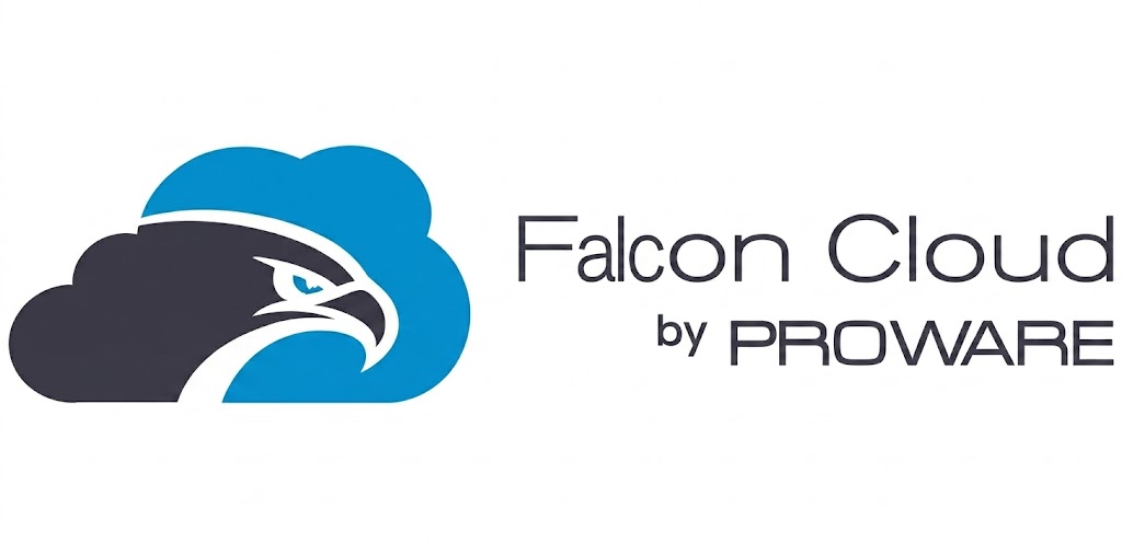 Falcon Cloud