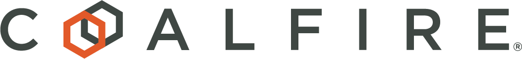 Cyber Security Services