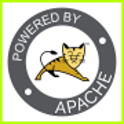 Apache Tomcat Server on Windows Server 2022