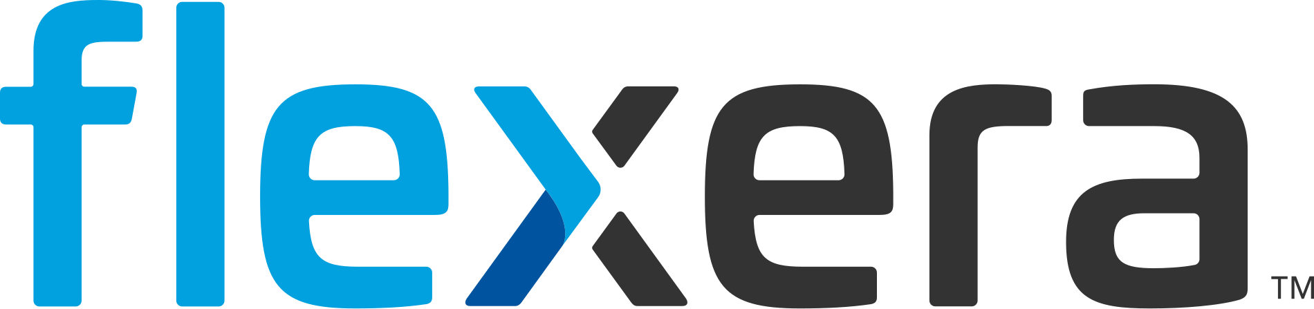 Flexera One IT Visibility (implementation services)