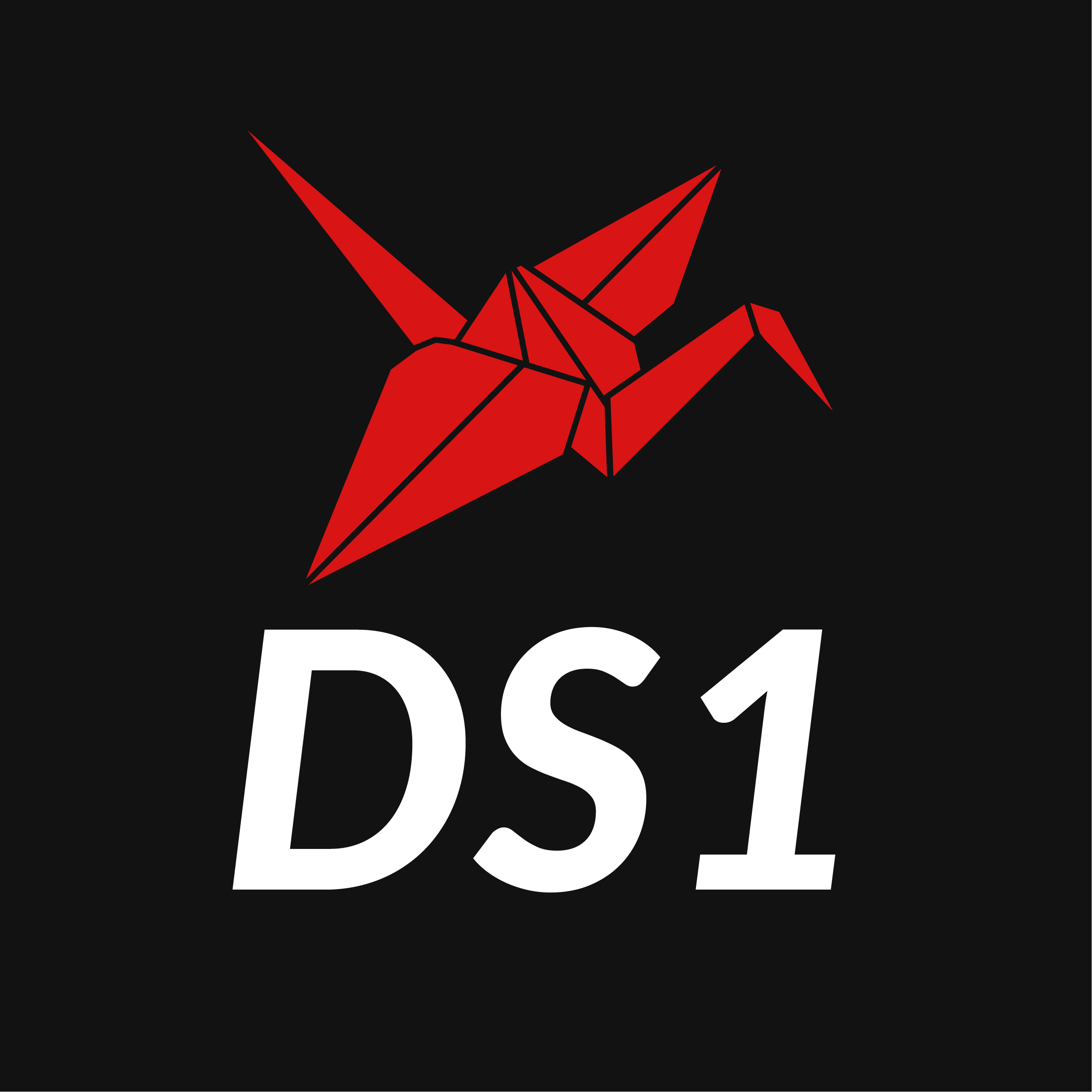 DS1 Embedding Model