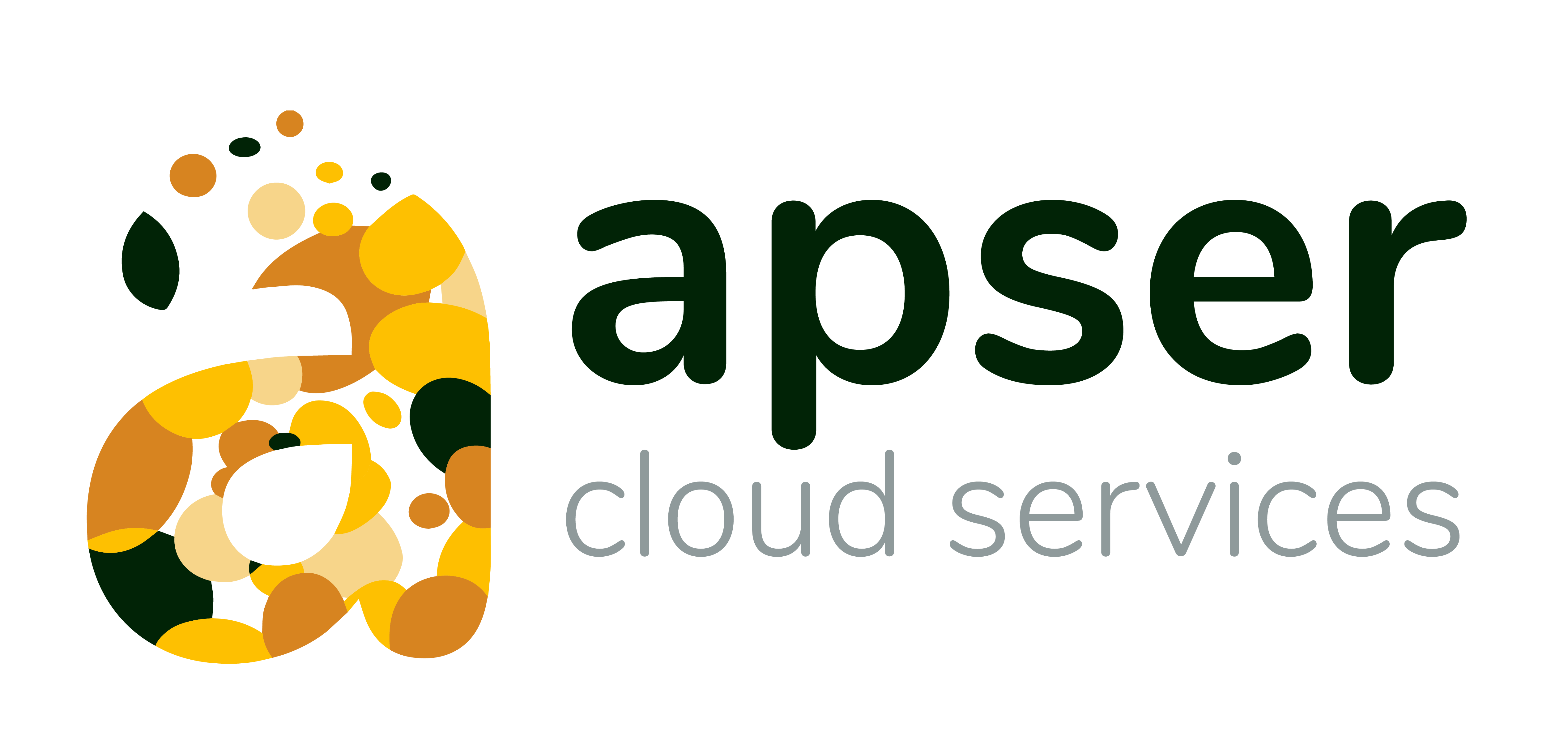 Apser AWS Backup & Data Protection Solutions powered by Druva