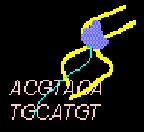 IFTI-GEISR aggregated R packages for NGS analysis