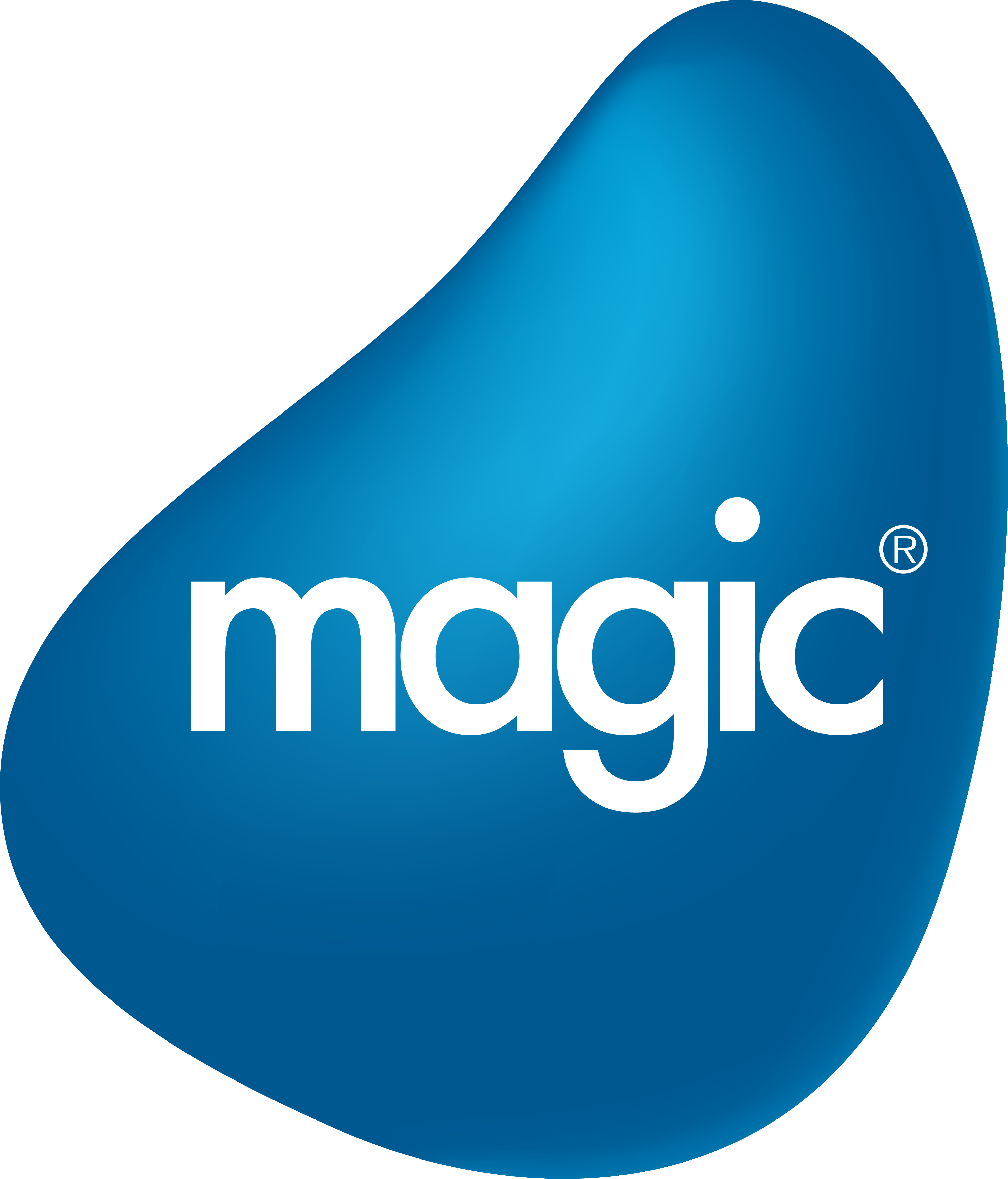 Magic Web Application Framework