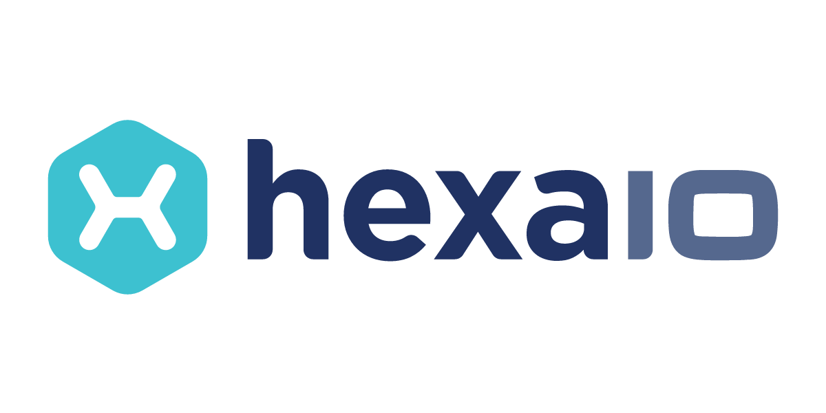 HexaIO Professional Services
