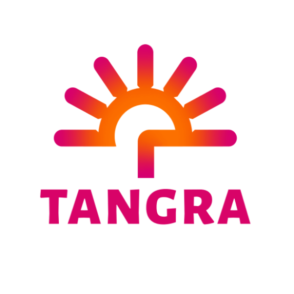 Tangra Immersive Learning