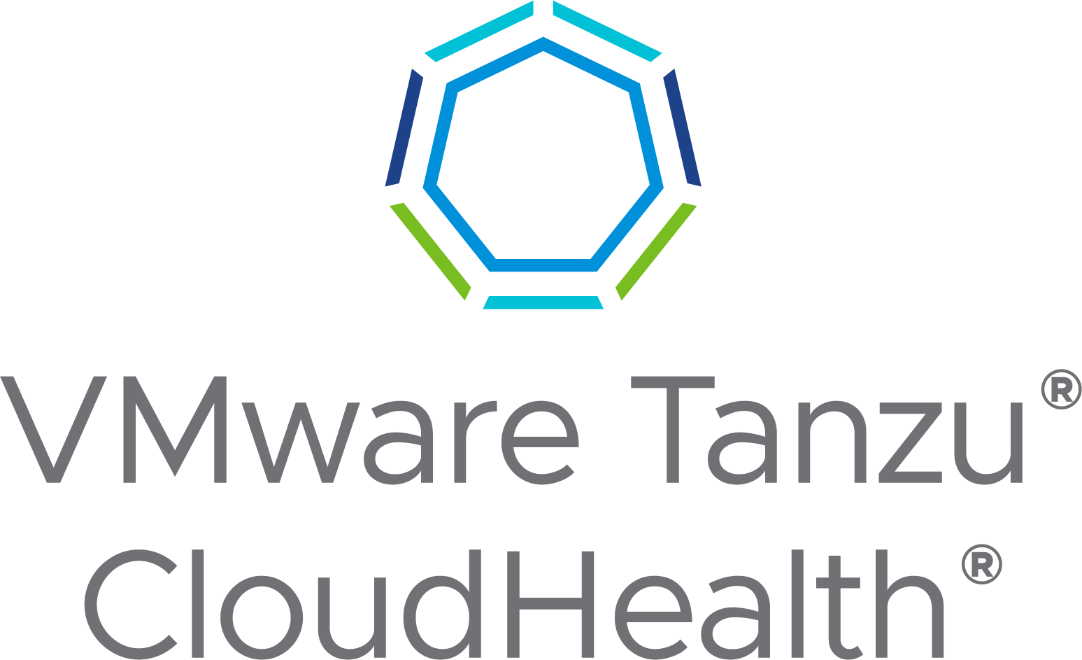 VMware Tanzu CloudHealth - logo
