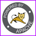 Apache Tomcat Server on Windows 2019 logo
