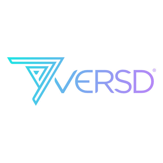 VERSD Natural Language Querying Tool