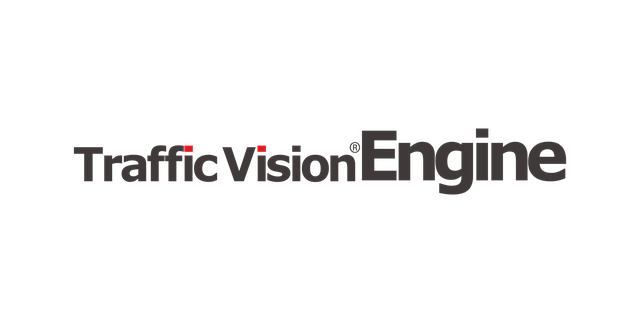 Traffic Vision Engine / SERVICE Implementation Services