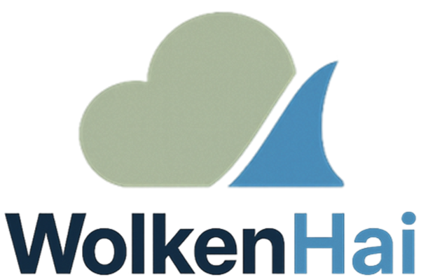WolkenHai Strategic Productization & Public Sector Go-to-Market
