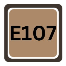 E107