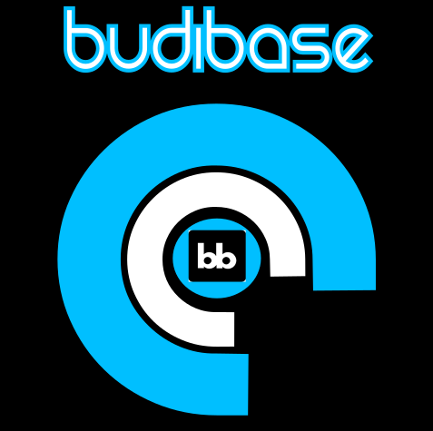 Budibase: Apps Made Easy packaged by Code Creator