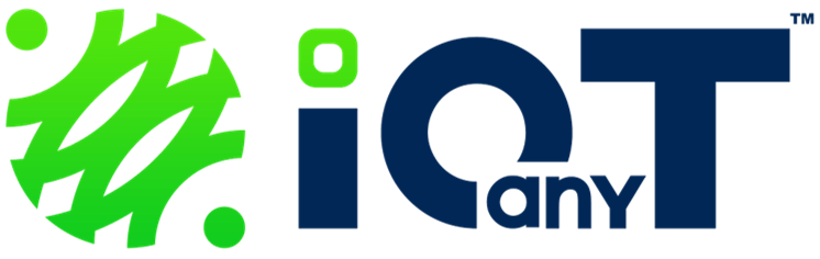 Customer Data Platform Service Managed by IOanyT Innovations
