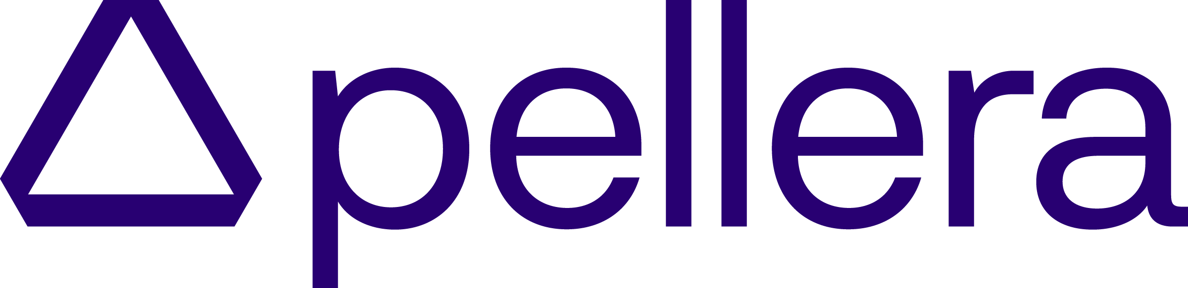 Pellera Penetration Testing as a Service (PTaaS)