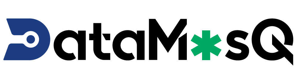 DataMasQ: GenAI-powered Web Application for Anonymization
