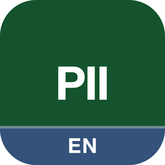 PII Detector Model