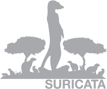 Suricata on Ubuntu LTS Annual Subscription