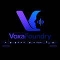 VoxaFoundry - The Complete AI Voice Agent Platform