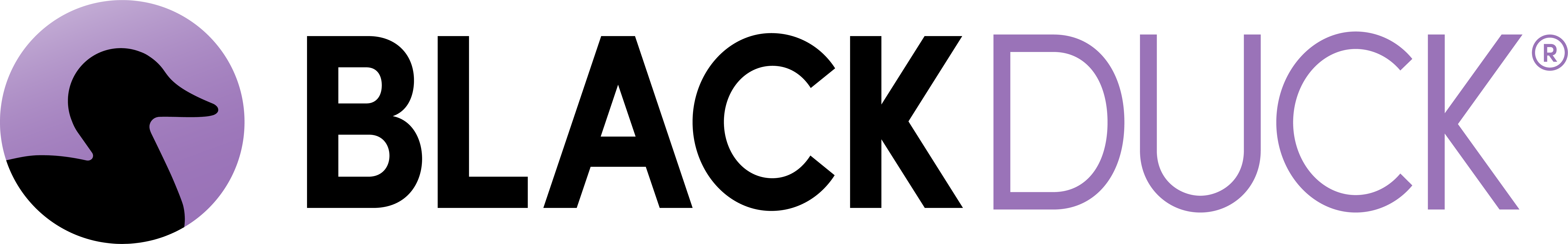 Synopsys (SCA)